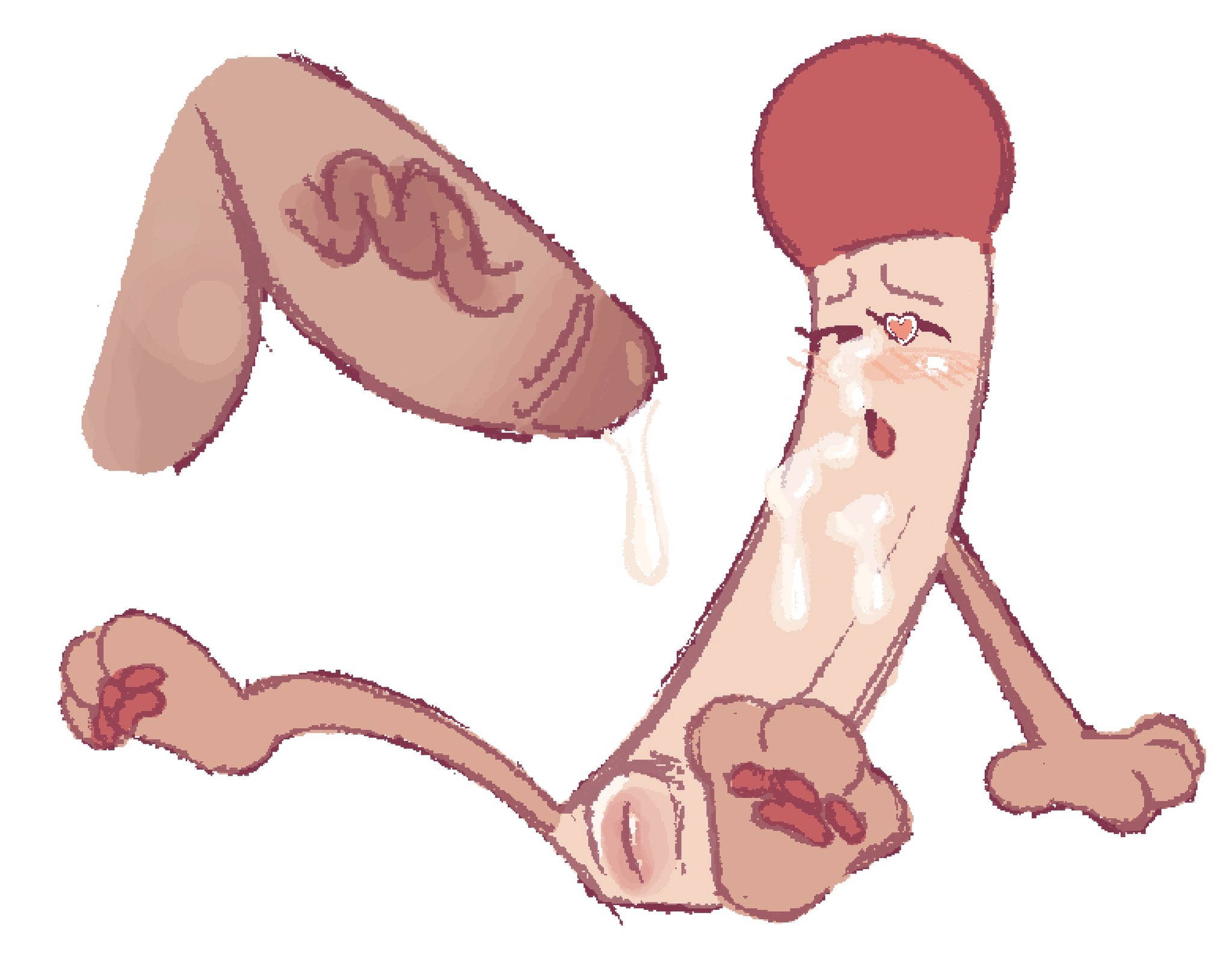 battle for dream island, bfb, bfdi, bfdia, cum, cum on face, cumshot, female, heart eyes, male, match (bfdi), object show, object shows, osc, pawpads, paws, penis, puffy pussy, pussy