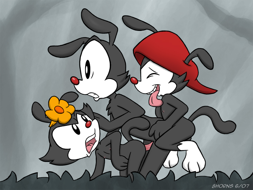 2007 8horns animaniacs dot_warner flower from_behind_position incest male/female sex straight trio wakko_warner yakko_warner