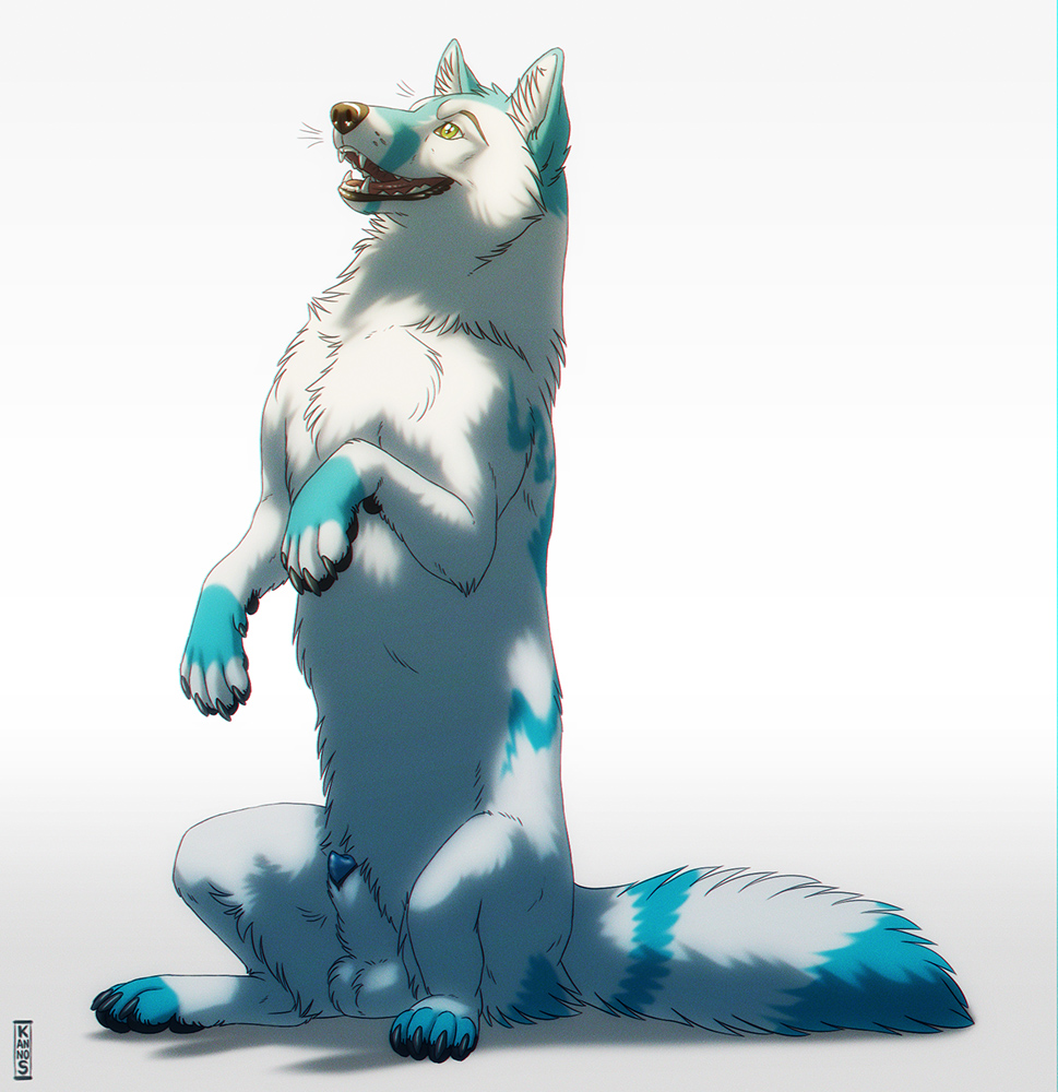 2014 4_toes anatomically_correct arctic_fox balls barefoot canine claws cute feral fox fur green_eyes happy icefurry kannos looking_up male male_only mammal nude pawpads paws penis plain_background raised_leg shadow shiny sitting smile solo toe_claws tongue whisker white_background