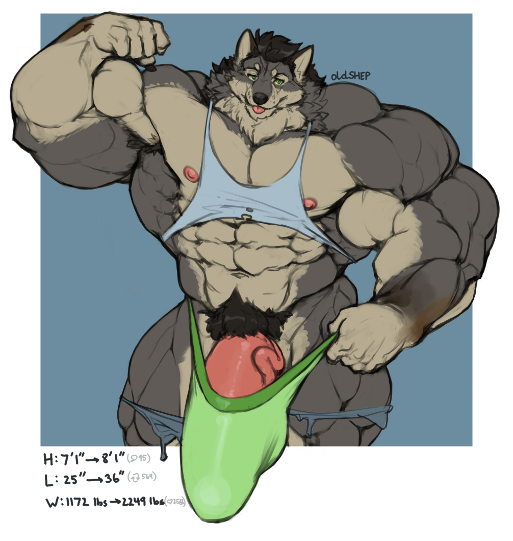 1:1 2020 5_fingers abs anthro areola biceps big_bulge big_muscles biped black_hair blep body_size_growth border bottomwear bulge canid canine canis claws clothing digital_drawing_(artwork) digital_media_(artwork) finger_claws fingers flaccid flexing flexing_bicep fur genitals george_(yuri)_kuznetsov green_clothing green_eyes green_underwear grey_body grey_fur growth growth_sequence hair huge_bulge huge_muscles hyper hyper_bulge hyper_muscles looking_at_viewer male mammal muscle_growth muscular nipples oldshep paws pecs penis penis_base quads shirt shorts size_transformation solo standing tank_top tongue tongue_out topwear torn_clothing transformation underwear vein veiny_penis white_border wolf