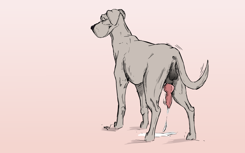 animal_genitalia anus balls canine canine_penis cum cumshot feral great_dane male male_only mammal masturbation orgasm penis plain_background smile solo white_background wuf