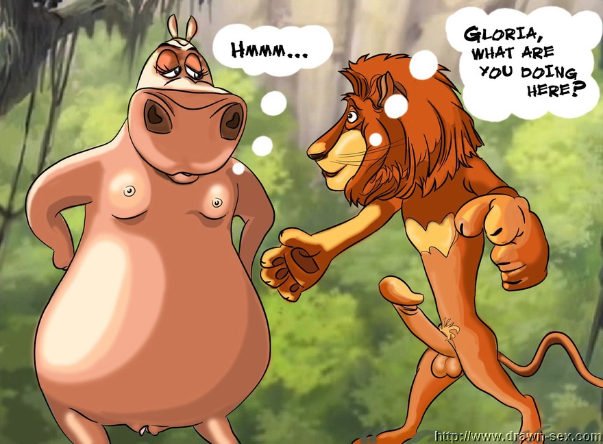 alakay_alex anthro balls breasts dialogue drawn-sex.com dreamworks english_text erection feline female furry furry_only gloria_the_hippopotamus hippo lion madagascar_(series) male mammal nipples penis pubic_hair small_breasts straight thought_bubble vulva