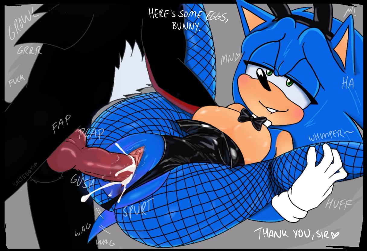 anus, bowtie, clitoris, cum, cum in pussy, cuntboy, fake rabbit ears, fishnet legwear, furry, intersex, leotard, leotard aside, male, male only, penis, pussy, rule 63, saltedqtip, sex, shadow the hedgehog, sonic (series), sonic the hedgehog