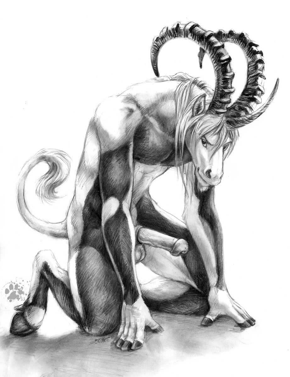 all_fours animal_genitalia balls blotch erection fingers hooves horn horsecock hybrid ibex kneeling looking_at_viewer male male_only mammal nude penis solo