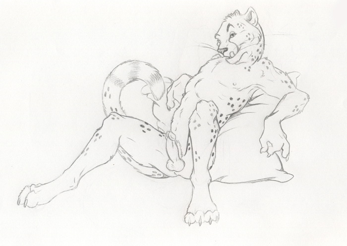 anthro balls cheetah erection feline fur furry licking looking_at_viewer lying male male_only mammal monochrome nduli on_back pencils penis pillow smirk solo tongue