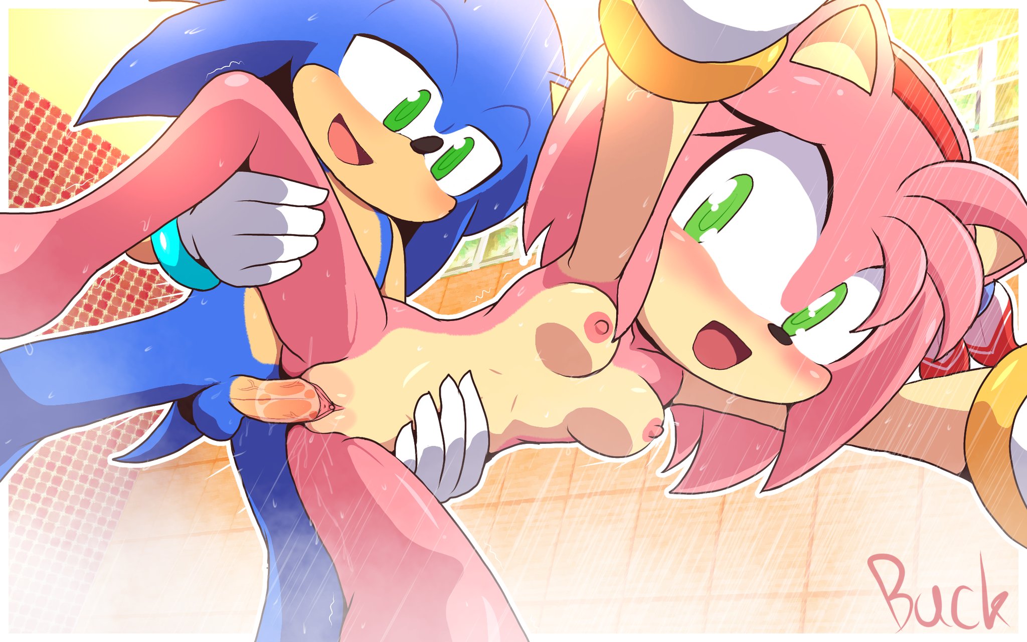 1boy, 1girls, amy rose, anthro, balls, breasts, female, female penetrated, furry, male, male penetrating female, male/female, notbuckhori, pussy, shower, shower sex, showering together, sonic (series), sonic the hedgehog, sonic the hedgehog (series), tagme, vaginal penetration