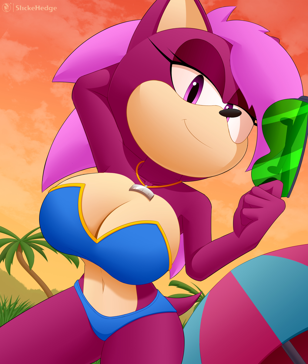 1girls anthro black_bra bra breasts clothed clothed_female clothing dic_entertainment furry furry_only huge_breasts large_breasts sega slickehedge solo solo_female solo_focus sonia_the_hedgehog sonic_(series) sonic_the_hedgehog_(series) sonic_underground topless