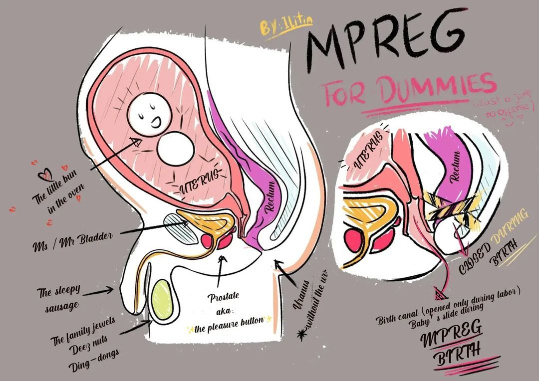 educational male male_pregnancy mpreg tagme text x-ray