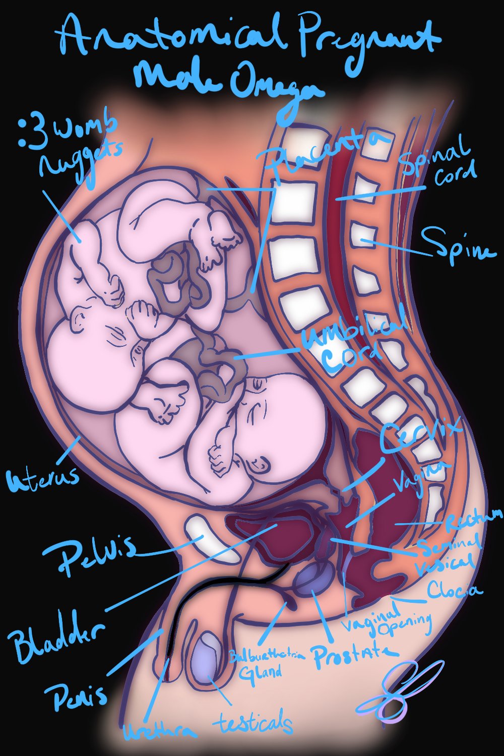 1boy, anatomy, fetus, in utero, male, male pregnancy, mpreg, pregnancy, pregnant, pregnant male, pregnant with multiples, solo, solo focus, solo male, tagme, twins, x-ray