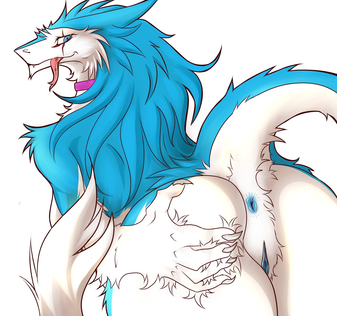 anus ass blue_eyes blue_fur blue_hair breasts collar female fur hair kanex nude pussy sergal solo tongue valkyrie_the_corrupt_sergal white_fur