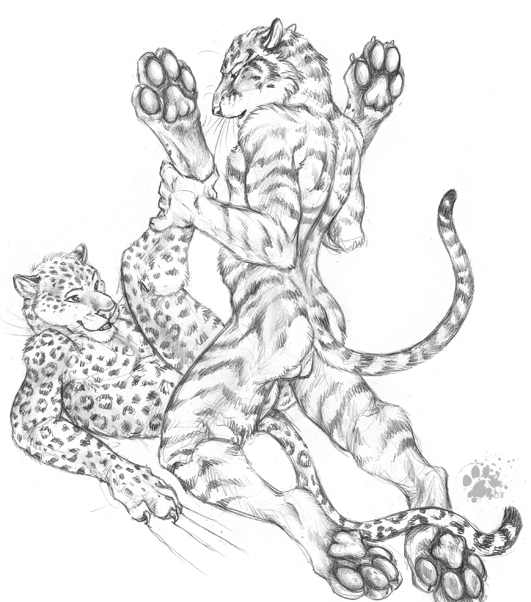 anthro balls blotch clawing feline fur furry furry_only greyscale hindpaw legs_up leopard lying male male_only mammal monochrome multiple_males no_humans nude on_back pawpads paws tiger whiskers yaoi