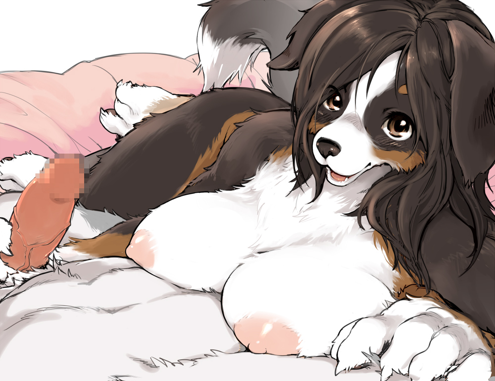 anthro big_breasts breasts brown_hair canine censored claws duo female fur furry hair kikurage looking_at_viewer lying male mammal on_side penis saint_bernard