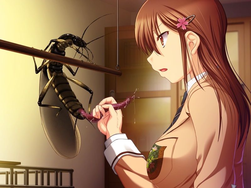 censored, cyclet, female, insects, kisaragi kagome, konchuu kansatsu, school uniform, tagme, zoophilia
