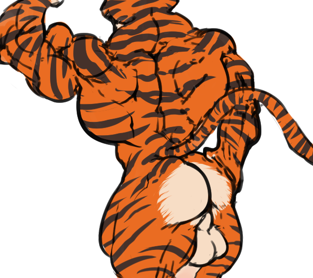 1boy anthro ass back balls dreamworks feline furry furry_(artist) furry_only madagascar_(series) madagascar_3_europe's_most_wanted male male_only mammal muscles paramount_pictures solo tiger vitaly_the_tiger