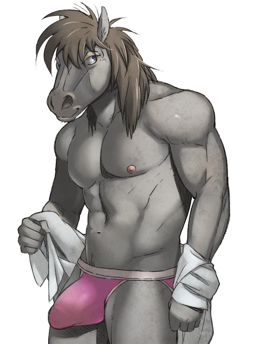 equine erection gamma-g horse male male_only mammal penis solo underwear