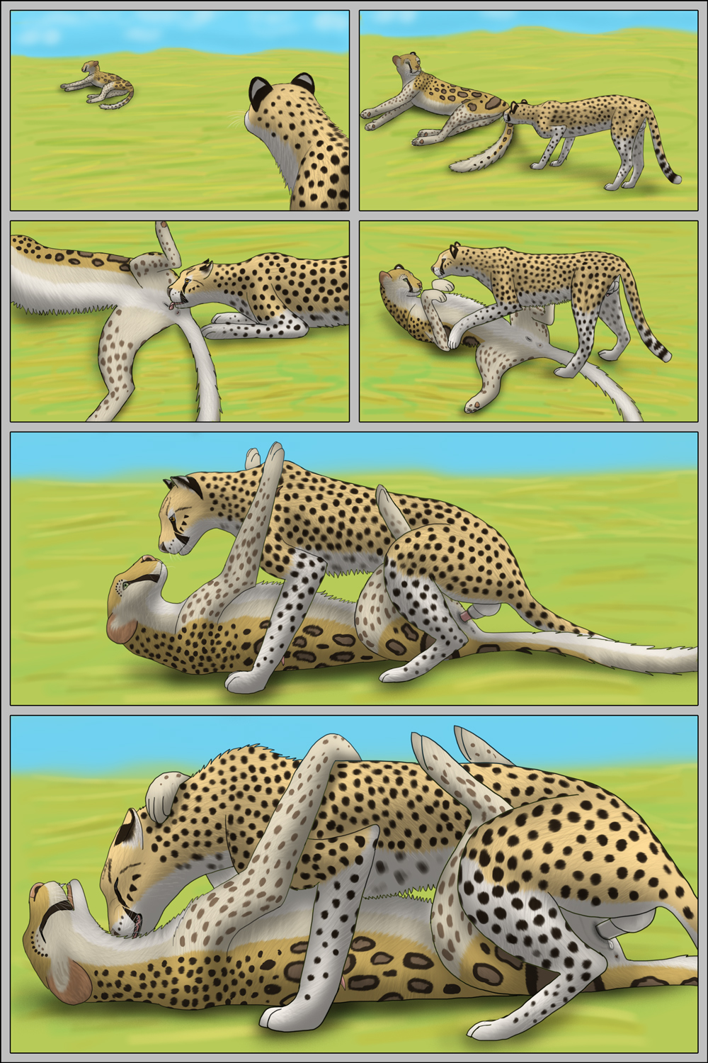 anus balls cheepard cheetah comic cum cum_in_pussy cum_inside cunnilingus erection feline female feral feral_on_feral hybrid leopard lying male mammal on_back oral oral_sex penetration penis pussy sex snow_leopard spreading straight vaginal_penetration vaginal_penetration