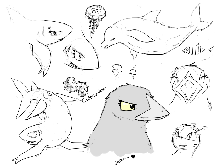 avian bird cetacean dolphin female feral fish heart jellyfish jetcrow mammal marine monochrome pussy sea_cucumber shark