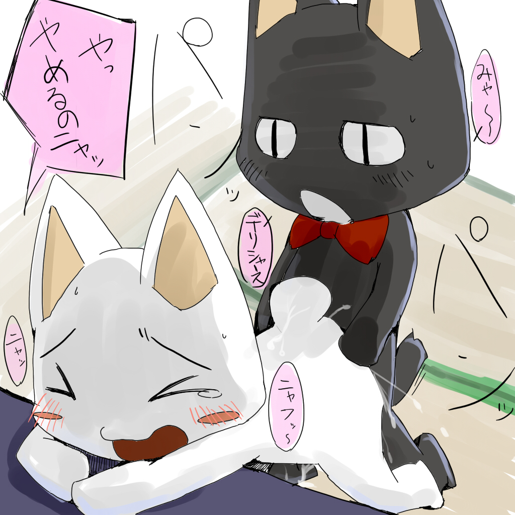 anal blush cum dokodemo_issho feline kuro male mammal penetration pixiv shiro sweat tears toro_inoue yaoi