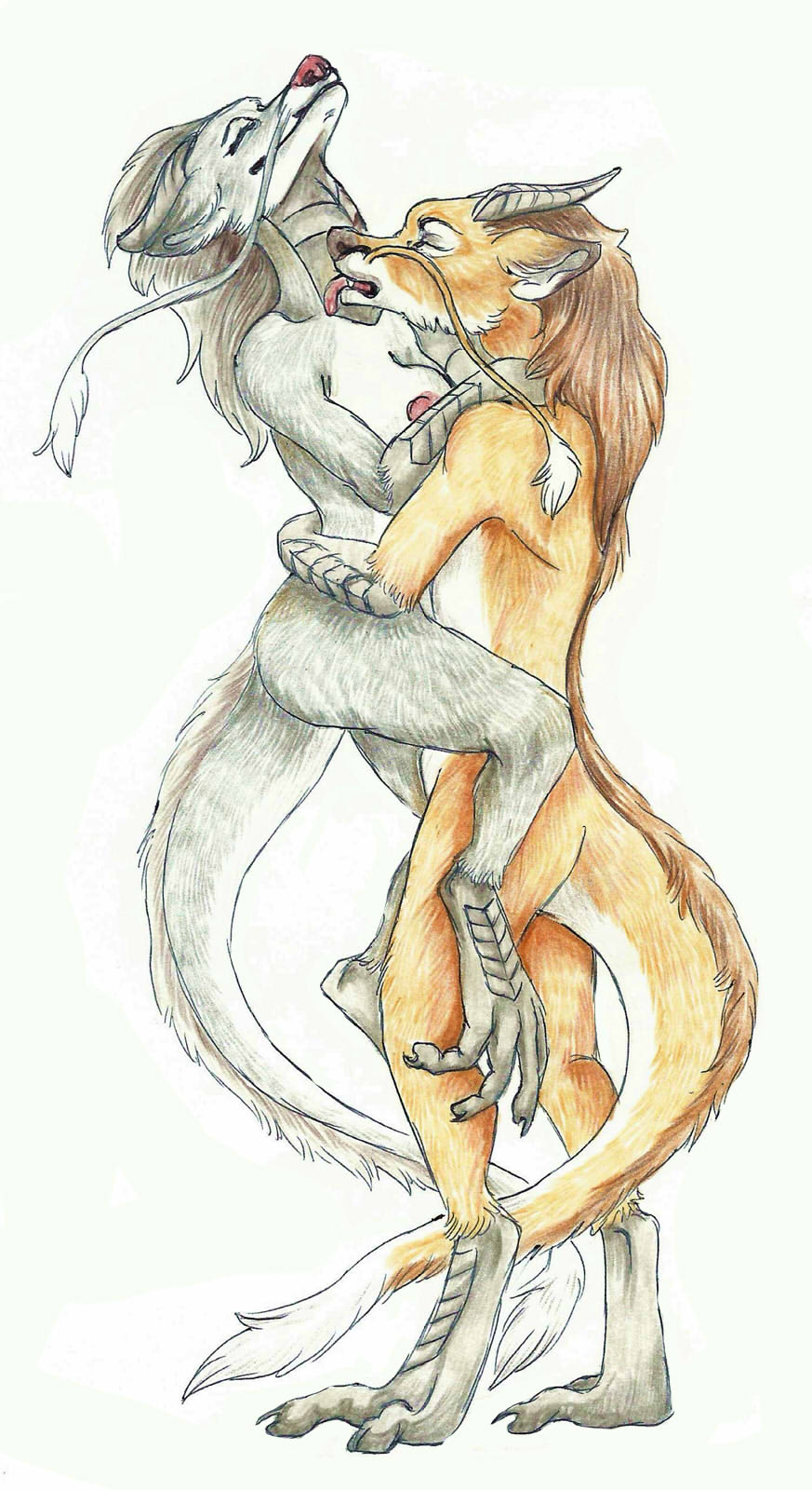 1boy 1girls anthro breasts case dragon female fur licking male mane molly mustache nipples nude plain_background ronff sketch straight tongue tongue_out whiskers