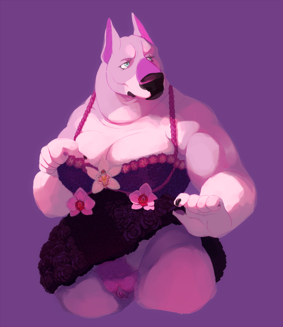 blue_eyes bull_terrier canine chubby clothing female flower lingerie mammal masculine pinstripedtiger plant pubes pussy skirt skirt_lift solo wide_hips