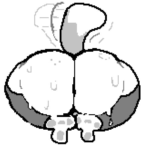ass, ass focus, big ass, laydawn, solo, sweaty ass, sweaty butt, temmie (undertale), undertale, undertale (series), wagging tail