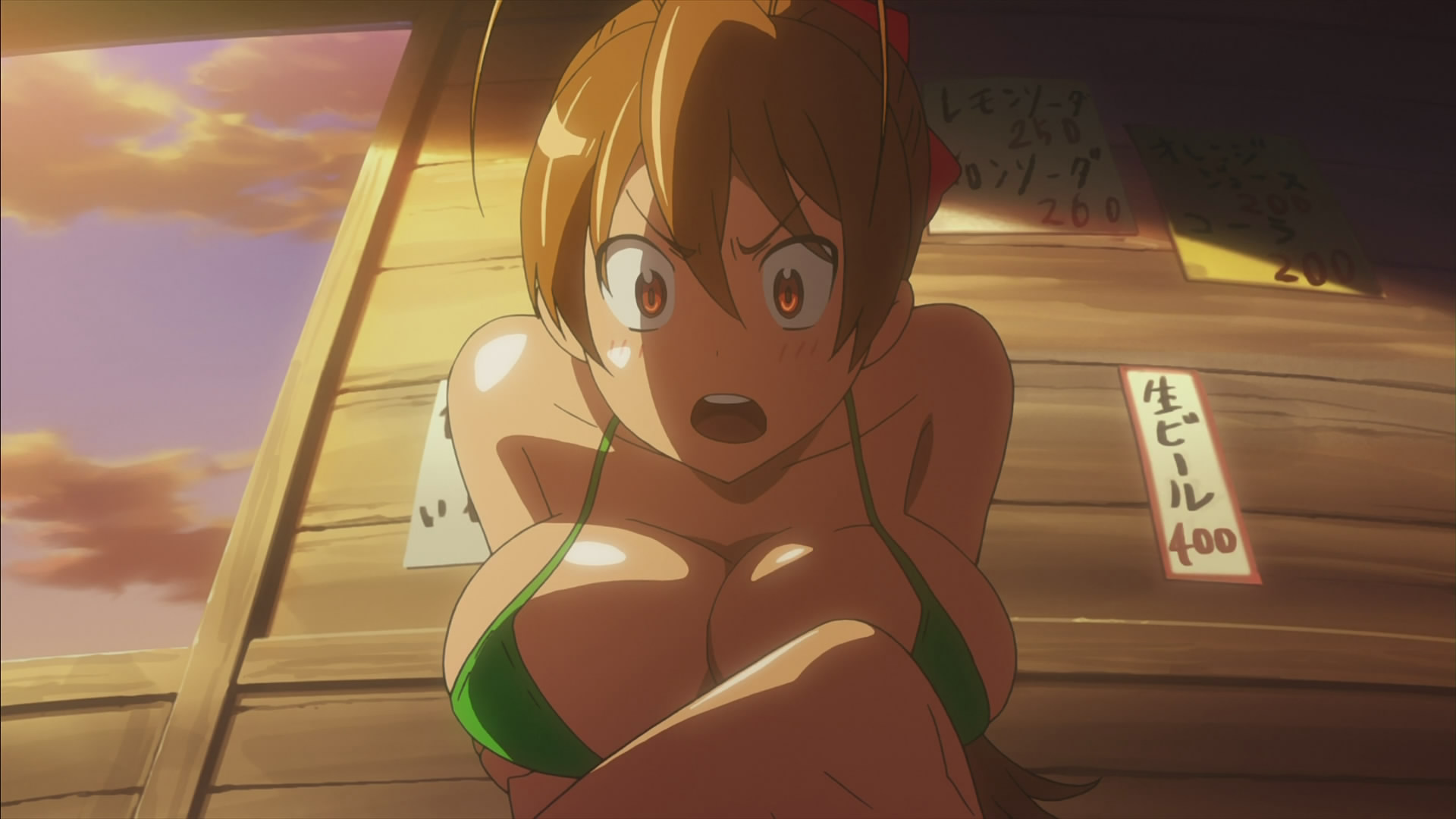 1girls, bikini top, breasts, brown hair, female, female only, highschool of the dead, large breasts, long hair, rei miyamoto, screencap, solo