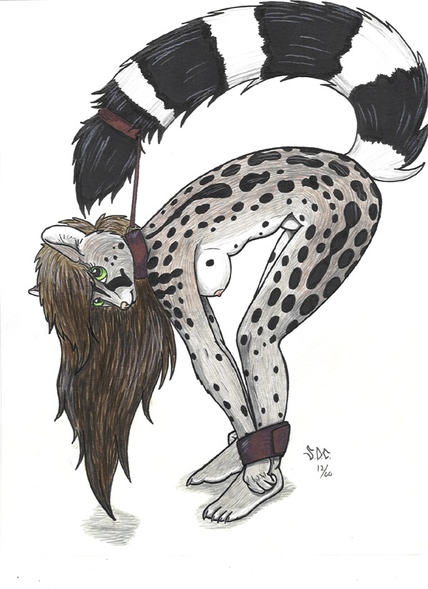 1girls 2000 anthro bent_forward bent_over bondage bound bound_ankles bound_tail bound_wrists breast claws collar female female_focus female_only furry genet green_eyes ironbadger long_hair long_tongue naked nipple nude side_boob solo solo_female solo_focus striped_tail tail_cuff toe_claws