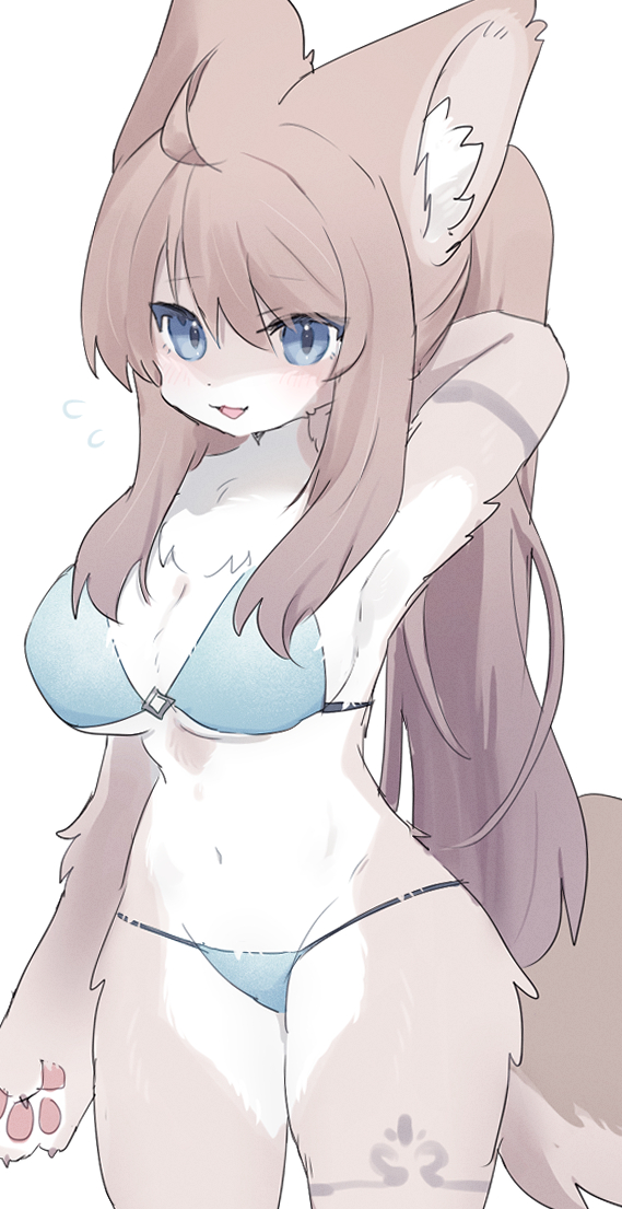 1girls 2024 armpits big_breasts blue_eyes blush blush_lines bra breasts brown_body brown_fur brown_hair cat_ears cat_girl cat_tail chest_fur claws eyebrows eyebrows_visible_through_hair eyes_visible_through_hair feline female female_only fluffy fluffy_tail furry furry_only hand_behind_head inner_ear_fluff looking_at_viewer navel open_mouth panties pawpads simple_background spommmm sweatdrop tail tatoo white_fur