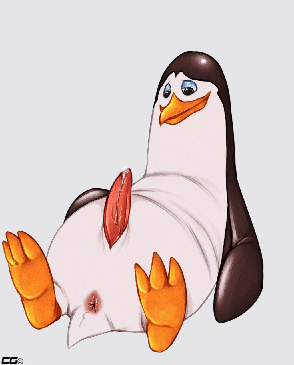 animal_genitalia anus avian bird crazedg dreamworks erection front_view genital_slit kowalski looking_down madagascar_(series) male male_only nickelodeon penguin penis precum reclining slit solo tapering_penis the_penguins_of_madagascar