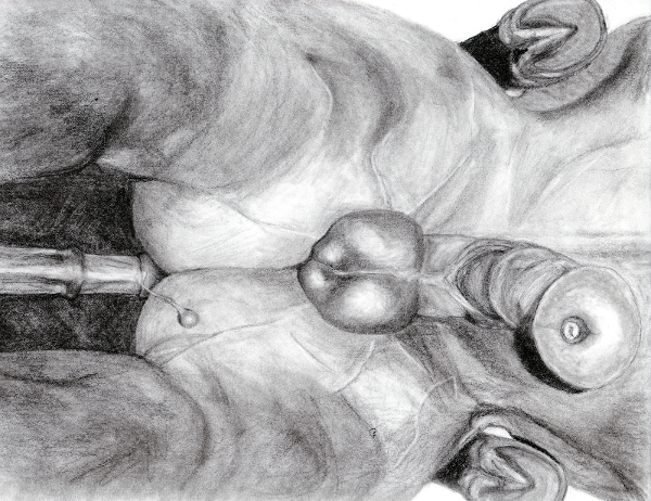 anal anal_sex anatomically_correct anatomically_correct_penis animal_genitalia balls cock_pointing_towards_viewer darkmare duo equine feral feral_on_feral flared_penis gay greyscale half-erect hooves horse horsecock low-angle_shot male mammal monochrome pencil_(artwork) penetration penis photorealism precum traditional_media_(artwork) underhoof worm's-eye_view