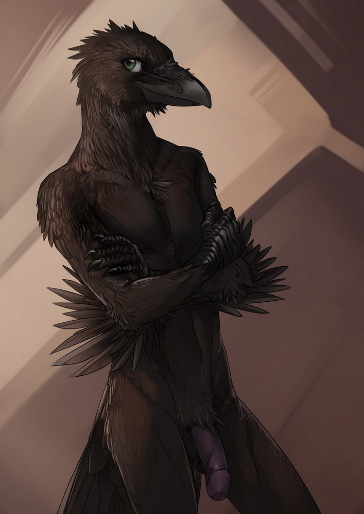 1boy 2014 acroth anthro avian balls beak bird black_feathers crow feathers flaccid green_eyes looking_at_viewer male male_only nude orphen-sirius penis solo