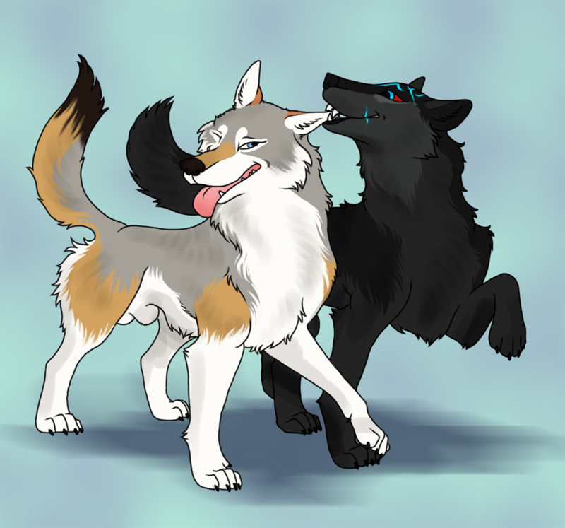 2014 balls black_fur blue_eyes brown_fur canine claws dogsoul duo ear_nibble feral fur glowing grey_fur male mammal playful red_eyes scar shaded sheath smile teeth white_fur wolf