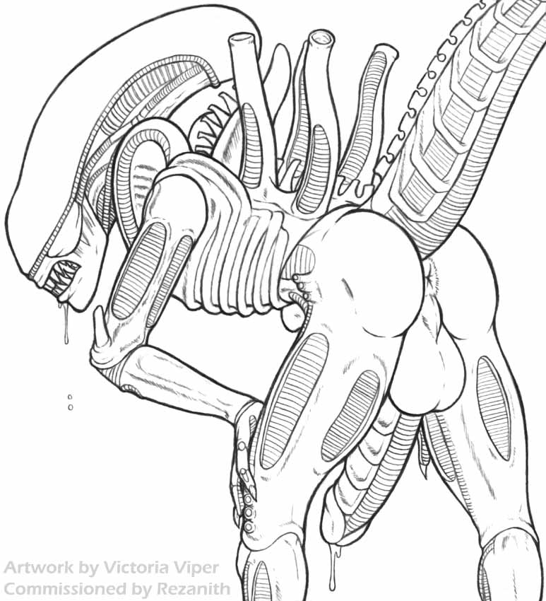 1boy 2011 alien alien_(franchise) anthro anus ass backsack balls bent_over big_balls big_penis cum drooling erection h.r._giger hands_on_knees huge_balls huge_cock humanoid_penis looking_at_viewer looking_back male male_only male_xenomorph monochrome nude pencil_(artwork) penis perineal_raphe plain_background precum precum_drip presenting presenting_anus presenting_hindquarters presenting_penis raised_tail rezanith saliva salivating sharp_teeth solo teeth traditional_media_(artwork) victoria_viper white_background xenomorph