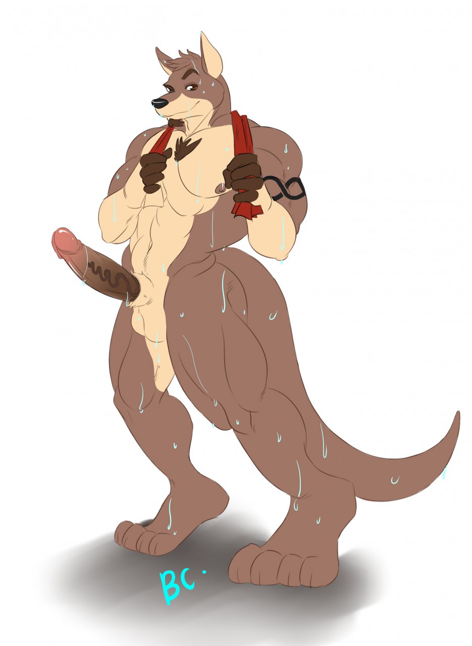 1boy abs anthro balls barabluecub_(artist) barefoot beard biceps big_muscles big_penis black_nose body_hair brown_eyes brown_fur brown_hair brown_nipples chest_hair chest_tuft erection facial_hair fur goatee hair humanoid_penis kangaroo looking_at_viewer luxordtimet luxordtimet_(artist) male male_only mammal marsupial muscles nipples nude ozzy_(character) pecs penis plain_background pose sex sheath shower solo standing tan_fur tattoo toned towel tuft vein veiny_penis water wet white_background