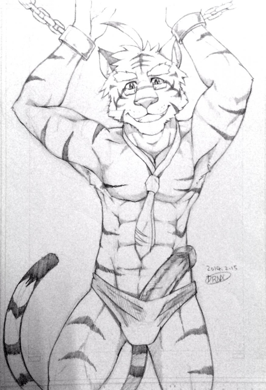 1boy abs anthro biceps bound clothing drnx erection feline male male_only mammal muscles necktie pecs penis solo tiger underwear