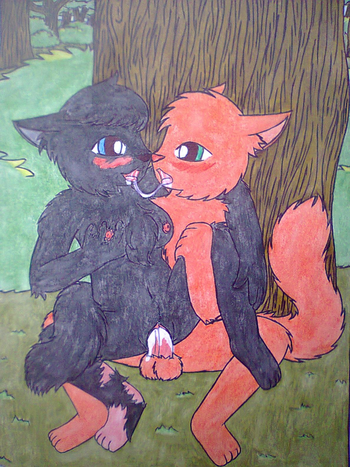 1boy 1girls anthro black_fur blush cinderpelt_(warriors) duo feline female feral feral_on_feral firestar_(warriors) fluffy_tail fur furry male mammal orange_fur penetration sex straight thunderclan warriors_(cats)