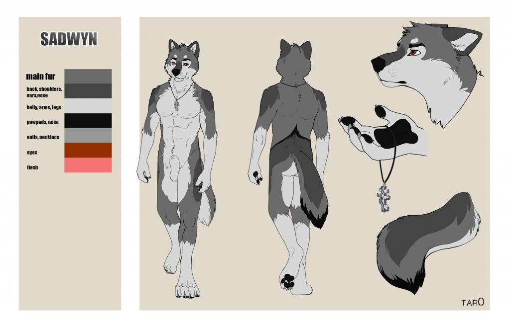 1boy 2014 anthro balls black_fur brown_eyes canine claws fur grey_fur looking_at_viewer male male_only mammal model_sheet necklace nude pawpads paws sheath smile solo tar0 text walking wolf