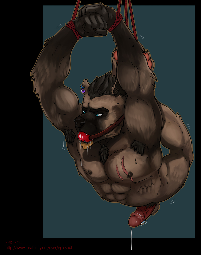 1boy 2015 abs anthro ball_gag balls biceps blue_eyes bondage bound brown_fur claws cum drooling epic_soul erection fur gag hair hyena kaiden male male_only mammal muscles nipples nude open_mouth paws pecs penis piercing rope saliva scar sex_toy solo teeth vibrator