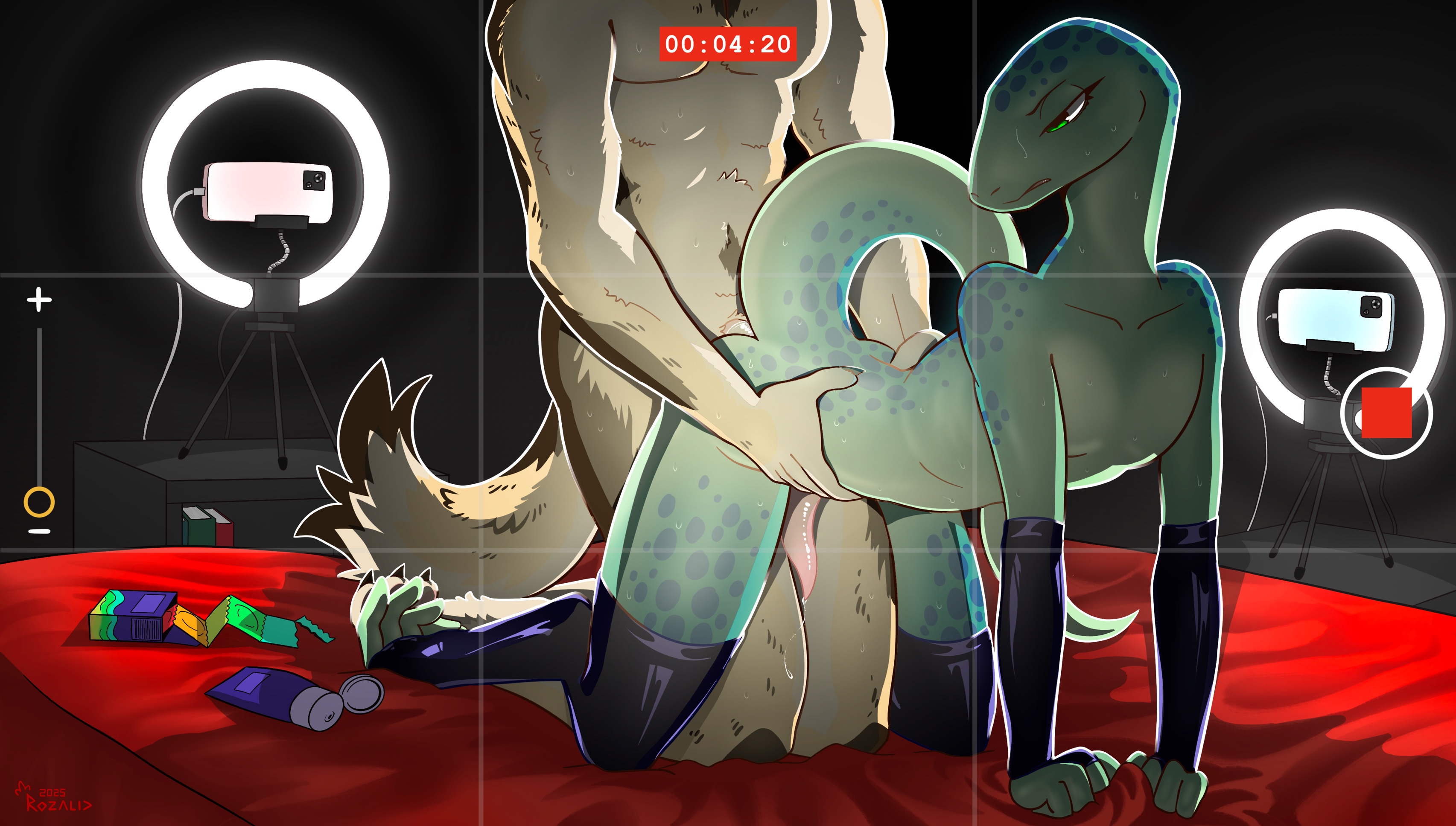 absurd res, ambiguous gender, anthro, bed, bed sheet, bedding, bedroom, bedroom sex, camera, camera flash, camera view, canid, canine, clothing, colored, condom, condom box, doggy style, duo, femboy, fluffy, fluffy tail, from behind position, fur, furniture, genitals, grabbing sheets, green body, green eyes, hand on hip, handwear, hi res, latex, latex clothing, latex handwear, latex legwear, legwear, lizard, lube bottle, male, male/male, mammal, muscular, muscular anthro, muscular male, nude, penis, phone screen, recording video, red sheets, reptile, rozalid, scales, scalie, scaly tail, sex, sexual barrier device, skinny, skinny anthro, skinny male, story, story in description, tail, tapering penis, yellow body, yellow fur
