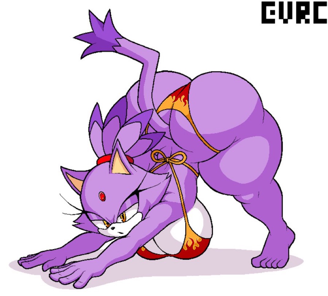 1girls, anthro, ass, big ass, big breasts, big butt, big thighs, blaze the cat, cat, cat ears, cat tail, catgirl, evrc, feline, feline humanoid, female, female only, furry, furry female, furry only, huge ass, huge breasts, huge butt, shortstack, softcore, solo, solo female, sonic (series), sonic the hedgehog (series), thicc, thick, thick ass, thick hips, thick legs, thick thighs, thighs