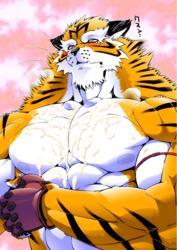 abs amakuchi colored cum cum_on_chest feline male male_only mammal muscles solo tiger