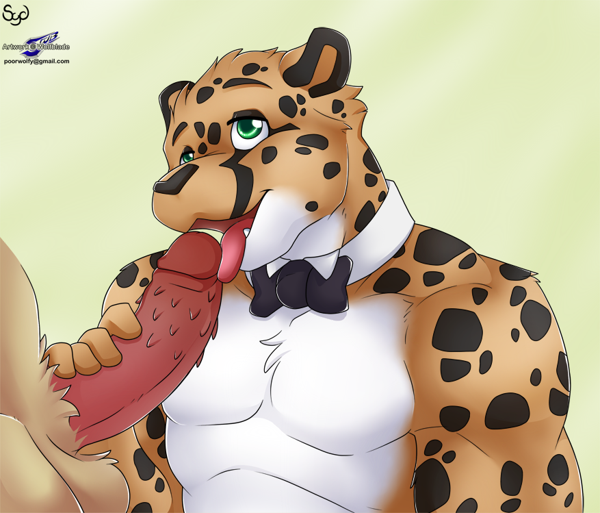 anthro barbs bow_tie cheetah feline fur furry male male_only mammal multiple_males oral penis sydneysnake wolfblade yaoi