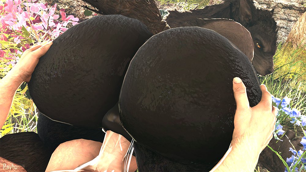 2025, 3d (artwork), anal, anal creampie, anal sex, anthro, anthro penetrated, anus, ass, balls, bethesda game studios, better version at paywall, big butt, black body, black fur, bodily fluids, butt focus, butt grab, canid, canine, canis, creampie, cum, cum in ass, cum inside, cum string, digital media (artwork), duo, first person view, fur, genital fluids, genitals, hand on butt, human, human on anthro, human penetrating, human penetrating anthro, humanoid genitalia, humanoid penis, interspecies, looking at another, looking at viewer, looking back, looking back at another, male, male human/male monster, male only, male/male, mammal, microsoft, monster, mythological canine, mythological creature, mythology, outside, outside sex, penetration, penis, puffy anus, rayhuma, sex, skyrim, skyrim werewolf, solo focus, source filmmaker (artwork), tail, the elder scrolls, vein, veiny penis, werecanid, werecanine, werecreature, werewolf, wolf, yaoi, yellow eyes