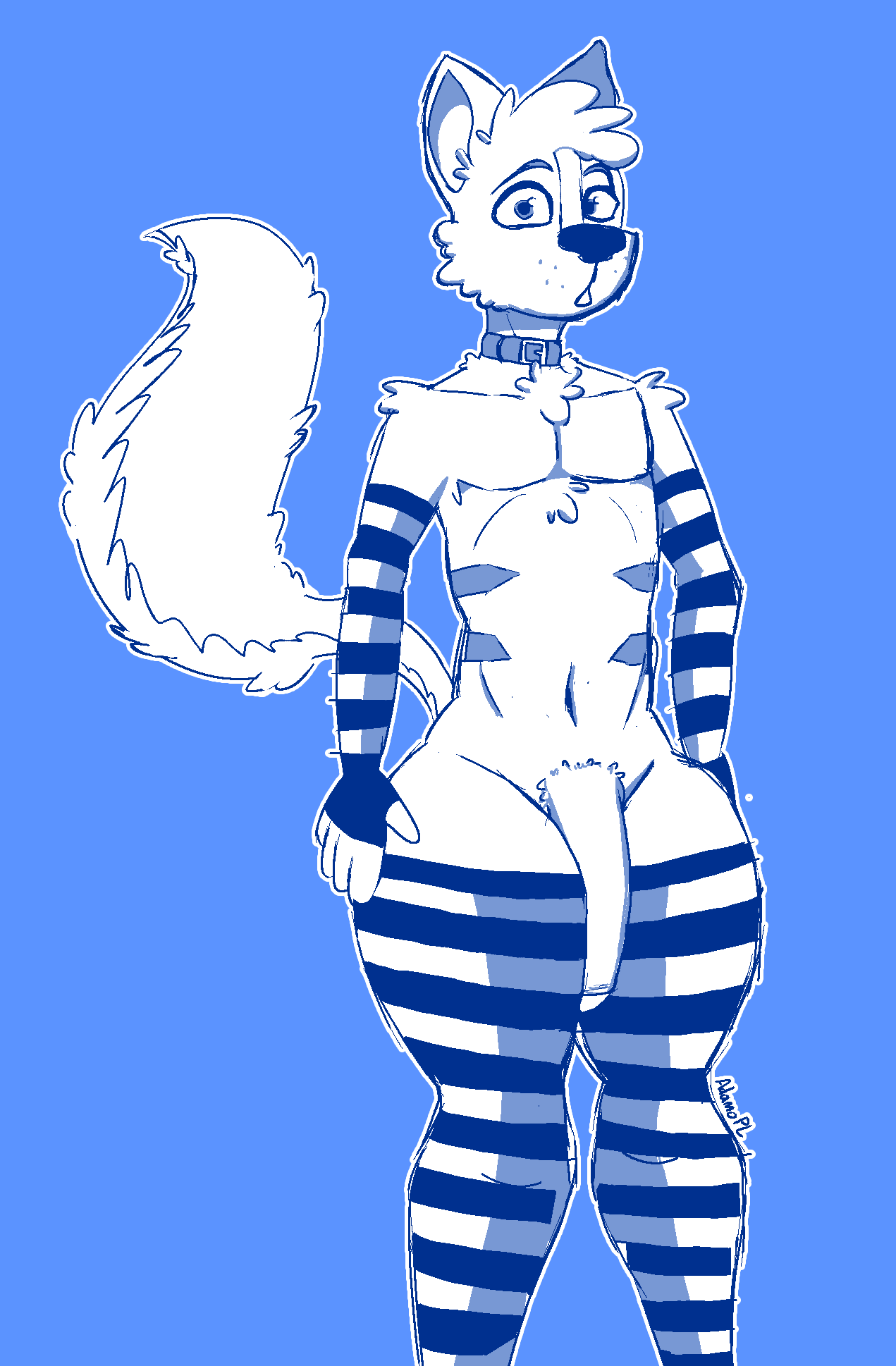 adamopl anthro big_penis blue_and_white blush canid canine canis clothing femboy footwear genitals hi_res male mammal monochrome penis shy socks solo wolf