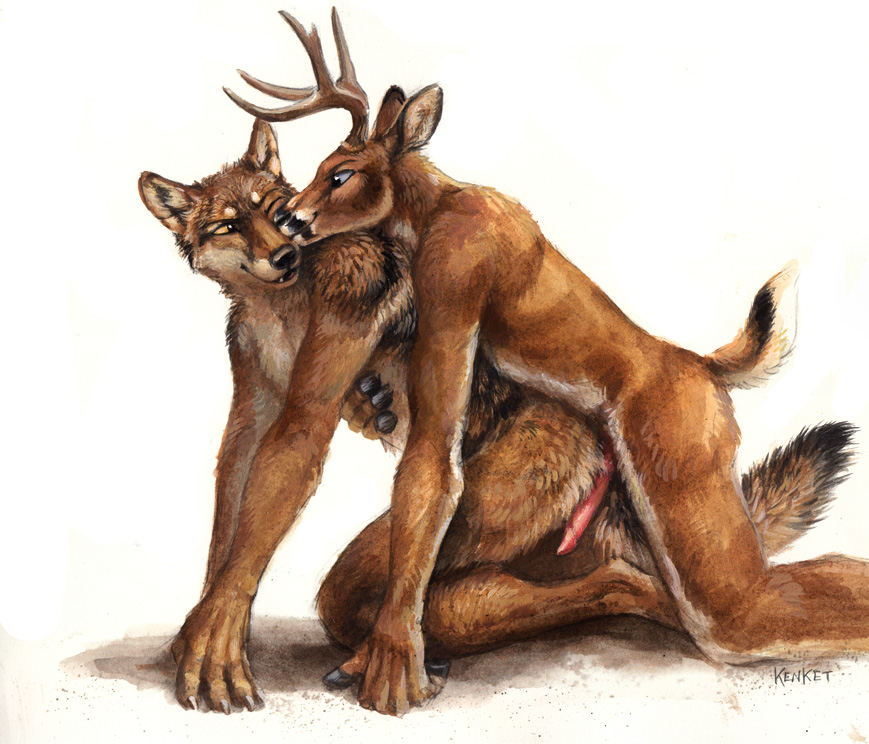 2015 all_fours animal_genitalia anthro antlers ass blue_eyes brown_eyes brown_fur canine cervine cervine_penis claws deer duo erection from_behind fur hooves horn imminent_sex kenket kissing looking_back male mammal mounting nude one_eye_closed penis plain_background smile white_background white_fur wolf yaoi