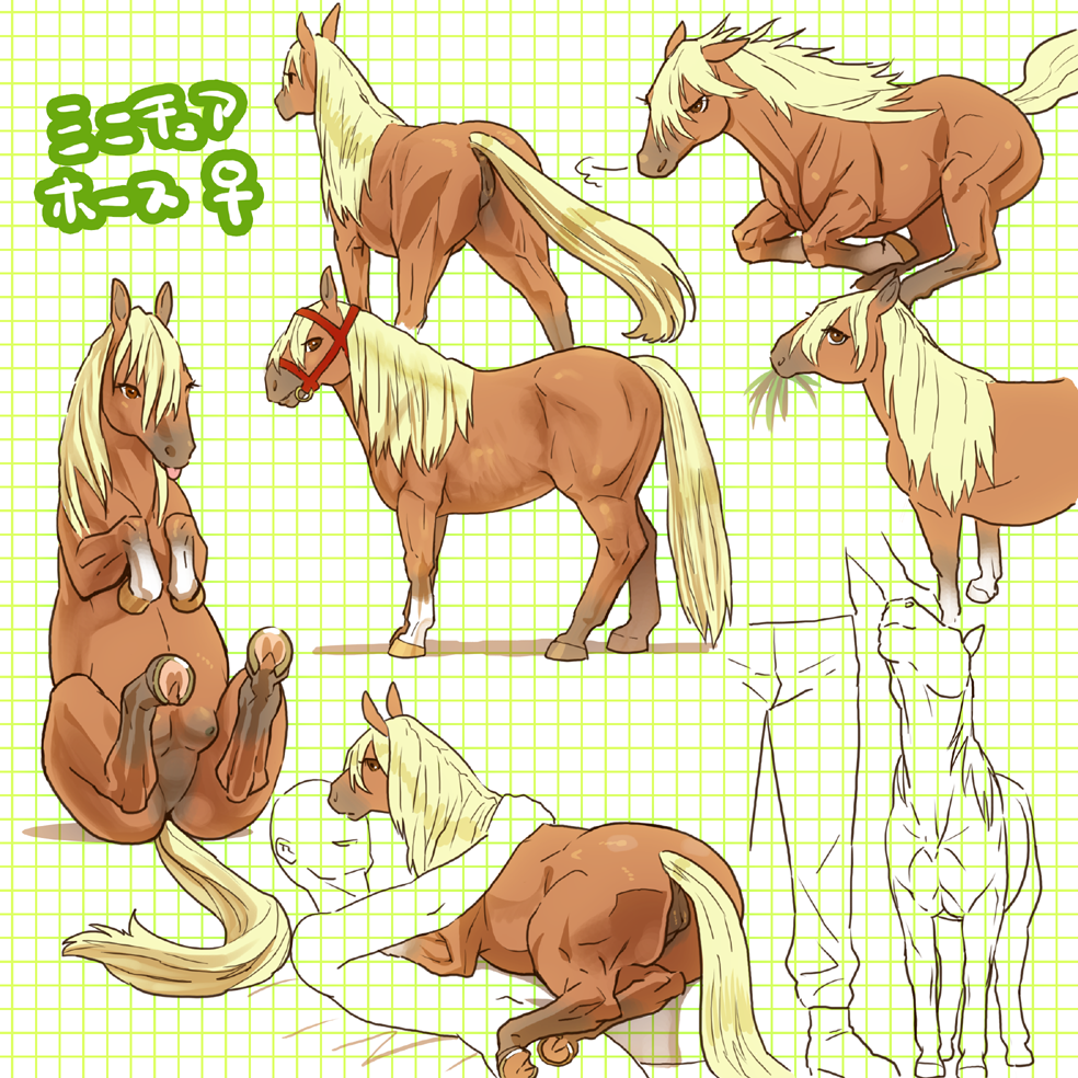 animal blonde_hair crotchboobs eating female hooves horse isaki lying mammal mare petting running size_difference standing tail text translation_request