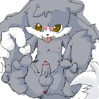 anthro anus balls blush clothing feet feline fur gloves grey_fur klonoa klonoa_(series) male male_only mammal marm open_mouth penis sitting solo tongue tongue_out uncut