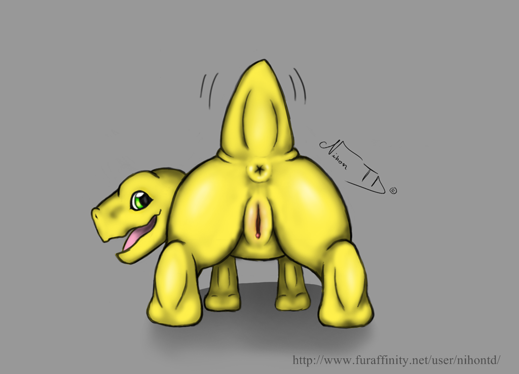 agumon ass digimon female nihontd nihonthedragon presenting presenting_hindquarters pussy raised_tail