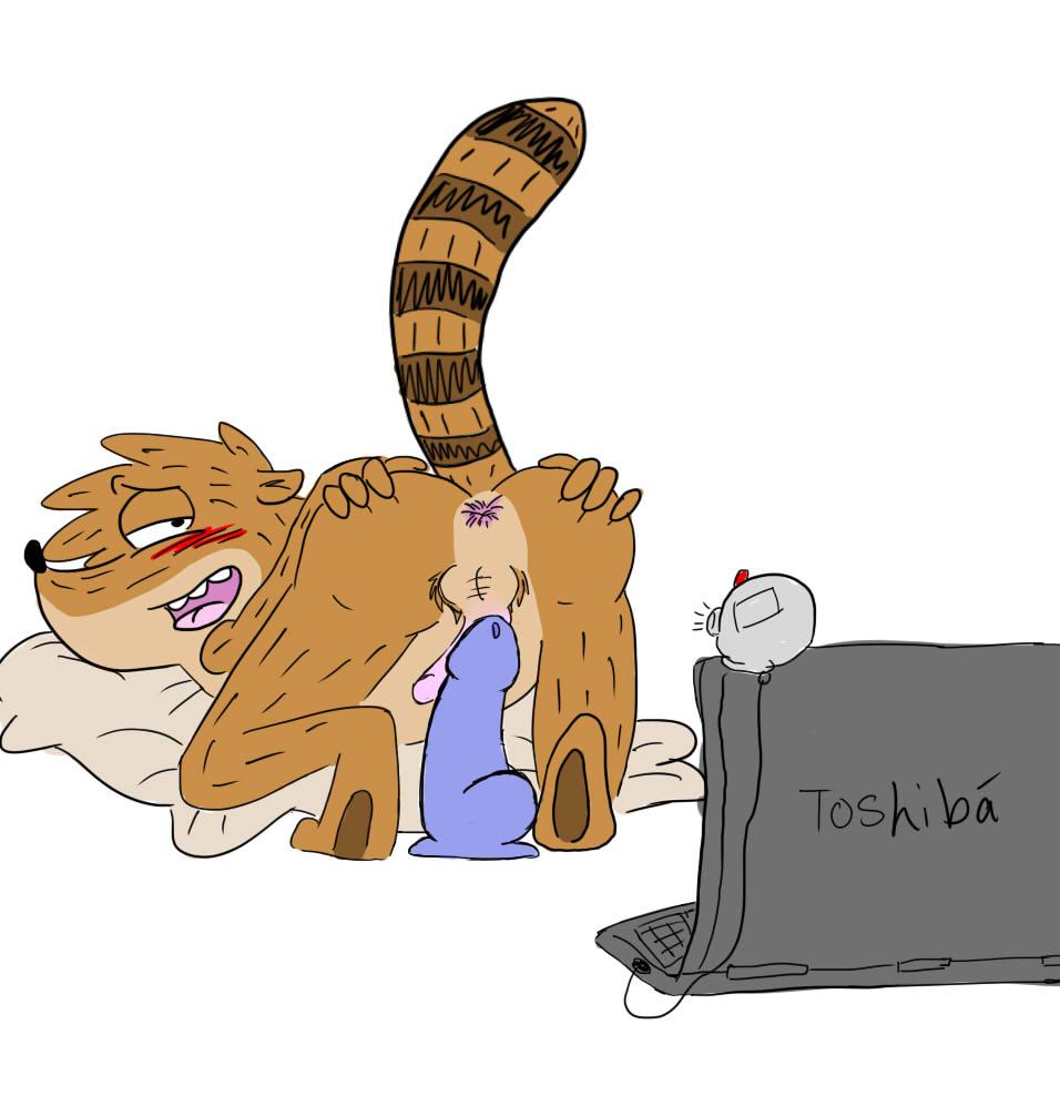 anthro anus ass backsack balls bed blush cartoon_network computer dildo iheartrainbowsnskittles laptop looking_back male male_only on_bed open_mouth penis raised_tail recording regular_show rigby sex_toy spread_anus spreading striped_tail tongue webcam