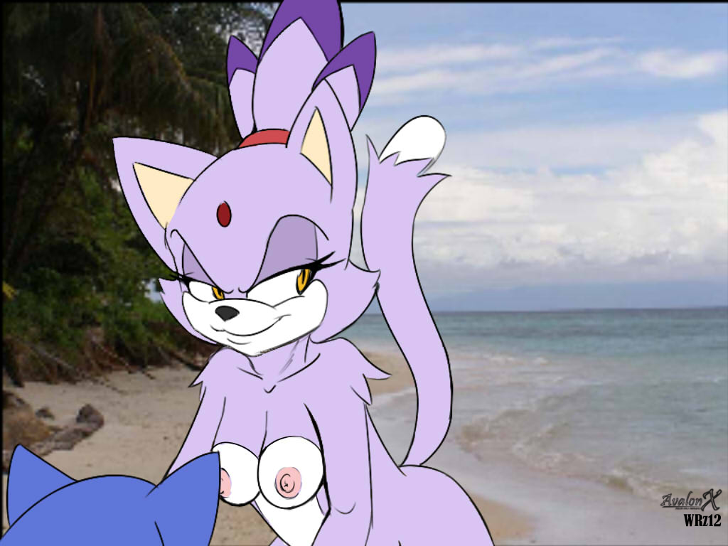 anthro areola aval0nx beach blaze_the_cat breasts erect_nipples feline female hedgehog imminent_sex male naked nipples nude outside sea seaside sega smile sonic_(series) sonic_the_hedgehog two_tone_hair water yellow_eyes